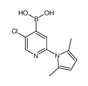 [5-chloro-2-(2,5-dimethylpyrrol-1-yl)pyridin-4-yl]boronic acid Structure