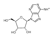 adenosine radical Structure