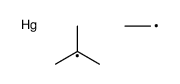 tert-butyl(ethyl)mercury Structure