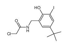 N-(5-(tert-butyl)-2-hydroxy-3-iodobenzyl)-2-chloroacetamide Structure