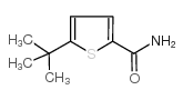 5-叔丁基噻吩-2-甲酰胺结构式