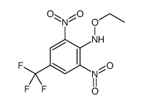 N-ethoxy-2,6-dinitro-4-(trifluoromethyl)aniline结构式