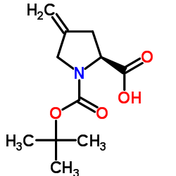 N-Boc-4-亚甲基-L-脯氨酸结构式