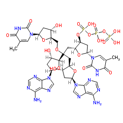 deoxy-(thymidylyl-adenylyl-thymidylyl-adenylic acid) Structure