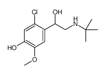 4-[2-(tert-butylamino)-1-hydroxyethyl]-5-chloro-2-methoxyphenol Structure