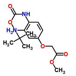 Methyl [3-amino-4-({[(2-methyl-2-propanyl)oxy]carbonyl}amino)phenoxy]acetate结构式