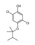 2,5-dichloro-4-(2,3-dimethylbutan-2-yloxy)phenol结构式
