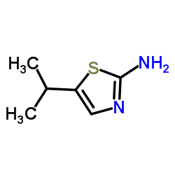 5-异丙基噻唑-2-胺图片
