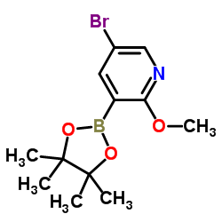 5-溴-2-甲氧基-3-(4,4,5,5-四甲基-1,3,2-二氧硼杂环戊烷-2-基)吡啶结构式