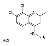 7,8-Dichloro-4-hydrazino-2-methylquinoline hydrochloride Structure