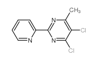 4,5-二氯-6-甲基-2-(2-吡啶基)嘧啶图片