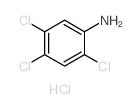 Benzenamine,2,4,5-trichloro-, hydrochloride (1:1) picture