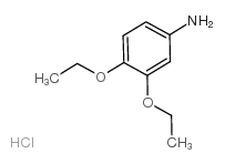 3,4-diethoxyaniline,hydrochloride Structure