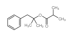 异丁酸苯基叔丁酯结构式