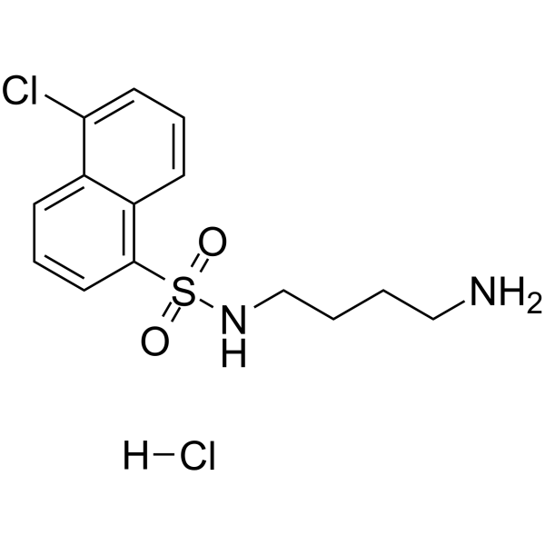 N-(4-氨基丁基)-5-氯-1-萘磺酰胺盐酸盐图片