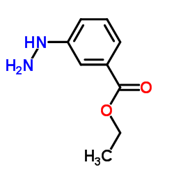 Ethyl 3-hydrazinobenzoate structure