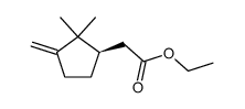 ((R)-2,2-dimethyl-3-methylene-cyclopentyl)-acetic acid ethyl ester Structure