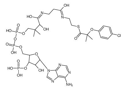 S-[2-[3-[[(2R)-4-[[[(2R,3S,4R,5R)-5-(6-aminopurin-9-yl)-4-hydroxy-3-phosphonooxyoxolan-2-yl]methoxy-hydroxyphosphoryl]oxy-hydroxyphosphoryl]oxy-2-hydroxy-3,3-dimethylbutanoyl]amino]propanoylamino]ethyl] 2-(4-chlorophenoxy)-2-methylpropanethioate Structure