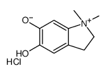 1,1-dimethyl-2,3-dihydroindol-1-ium-5,6-diol,chloride结构式