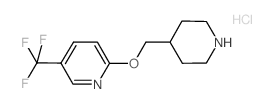 2-(4-Piperidinylmethoxy)-5-(trifluoromethyl)-pyridine hydrochloride Structure