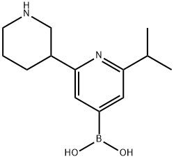2-(iso-Propyl)-6-(piperidin-3-yl)pyridine-4-boronic acid Structure