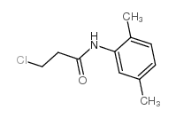 3-chloro-N-(2,5-dimethylphenyl)propanamide Structure