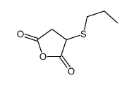 3-propylsulfanyloxolane-2,5-dione Structure