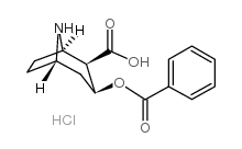 norbenzoylecgonine hydrochloride Structure
