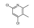 4,6-Dichloro-2,3-dimethylpyridine Structure