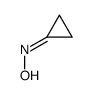 N-cyclopropylidenehydroxylamine Structure