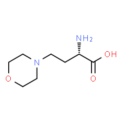 (2S)-2-Amino-4-(4-morpholinyl)butanoic acid Structure