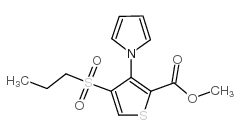 4-(丙基磺酰基)-3-(1H-吡咯-1-基)噻吩-2-羧酸甲酯结构式