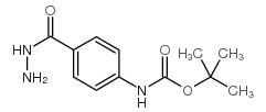 4-(肼羰基)-苯基氨基甲酸叔丁酯结构式
