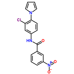 N-[3-Chloro-4-(1H-pyrrol-1-yl)phenyl]-3-nitrobenzamide Structure