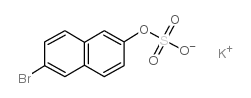 2-Naphthalenol,6-bromo-, 2-(hydrogen sulfate), potassium salt (1:1) picture