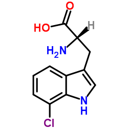 (S)-2-氨基-3-(7-氯-1H-吲哚-3-基)丙酸结构式