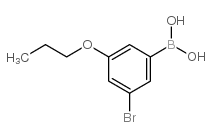3-Bromo-5-propoxyphenylboronic acid Structure
