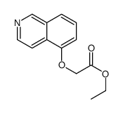 (isoquinolin-5-yloxy)-acetic acid ethyl ester Structure
