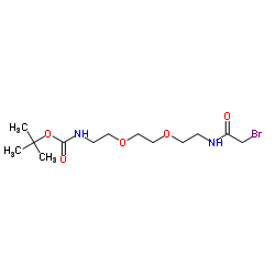 Bromoacetamido-C2-PEG2-NH-Boc结构式