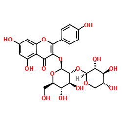 堪非醇3-O-桑布双糖苷结构式