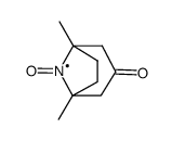 1,5-Dimethyl-8-azabicyclo(3.2.1)octan-3-on-8-oxyl Structure