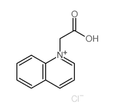 2-quinolin-1-ylacetic acid picture