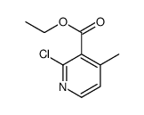 2-氯-4-甲基-烟酸乙酯结构式