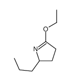 5-ethoxy-2-propyl-3,4-dihydro-2H-pyrrole结构式