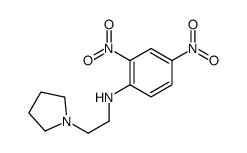 2,4-dinitro-N-(2-pyrrolidin-1-ylethyl)aniline Structure
