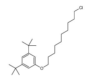 1,3-ditert-butyl-5-(10-chlorodecoxy)benzene Structure