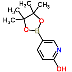 6-Hydroxypyridine-3-boronic acid pinacol ester Structure