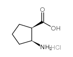 (1R,2S)-(-)-2-Amino-1-cyclopentanecarboxylic acid hydrochloride Structure