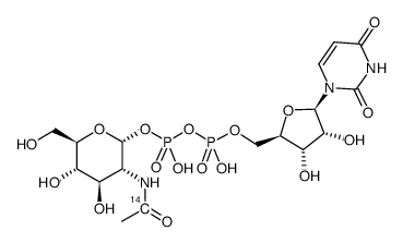 uridine diphosphate n-acetyl-d-glucosamine, [acetyl-1-14c] Structure