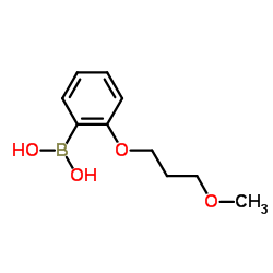 [2-(3-Methoxypropoxy)phenyl]boronic acid Structure
